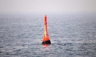 Mehrheit sorgt sich um den Wal in der Ostsee