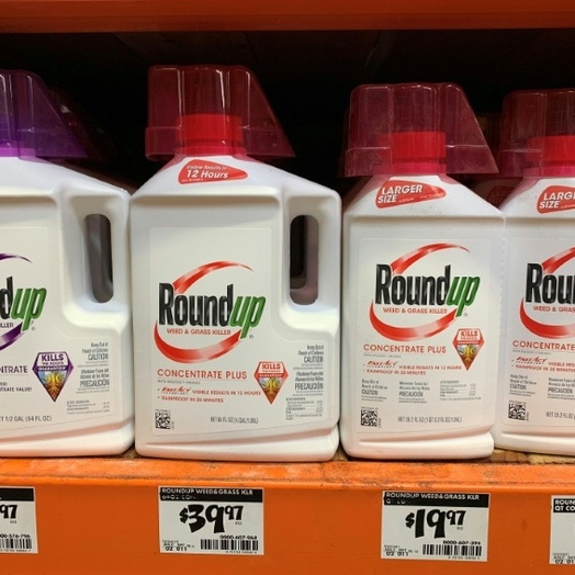 Oberstes Gericht der USA berät zu Glyphosat-Klage gegen Bayer-Tochter Monsanto