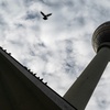 Verdacht auf Spionage für Russland: Kasache in Berlin festgenommen