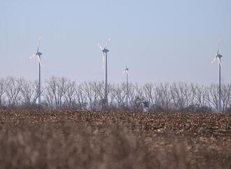 Schneider drängt Koalition zu mehr Unterstützung bei Energiewende