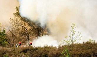 Mindestens fünf Waldbrände in den Niederlanden - Unterstützung aus Deutschland