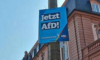 Studie: Subventionen können AfD ausbremsen
