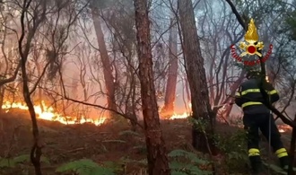 Waldbrand in der Toskana: Rund 3500 Menschen müssen ihre Häuser verlassen