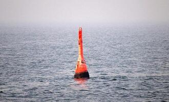 Gestrandeter Buckelwal in der Nordsee freigesetzt
