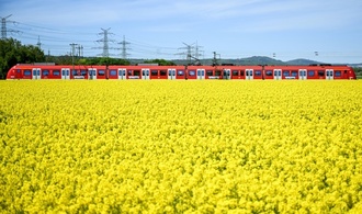 Bahn-Infrastruktur in Deutschland 2025 kaum verbessert - DB-Spitze optimistisch