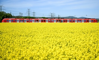 Bahn-Infrastruktur in Deutschland 2025 kaum verbessert - DB-Spitze optimistisch