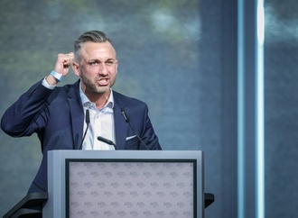 Länder-Innenminister warnen vor AfD-Regierung in Sachsen-Anhalt