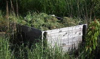 Grüne fordern Nachtbetriebsverbot für Mähroboter