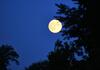 ESA-Chef fordert mehr europäische Unabhängigkeit in der Raumfahrt