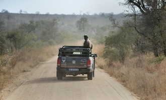 Nach Tötung zweier Touristen: Verstärkte Sicherheitsmaßnahmen in Südafrikas Kruger-Park
