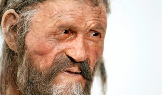 Wissenschaftler entdecken Hefe in Darm von Ötzi - und backen Brot daraus