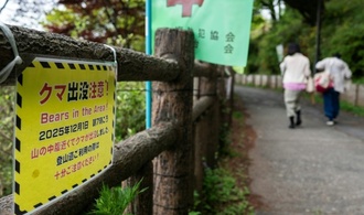 Schulschließungen in japanischer Stadt wegen streunenden Bären