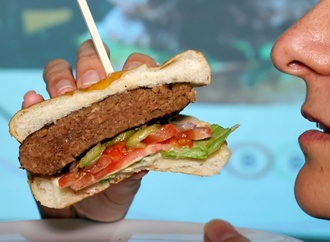 Vegetarische Lebensmittel: Markt für Alternativprodukte 2025 weiter gewachsen