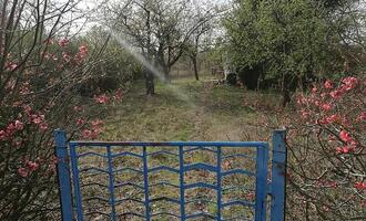 Gartenbesitzer in Deutschland fördern verstärkt Artenvielfalt