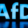 Berlin: AfD-Politiker hat kein Recht auf Einstellung im gehobenen Beamtendienst