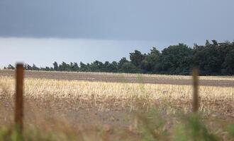 Unwetter in verschiedenen Teilen Deutschlands