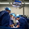 Fraktionsübergreifend Werben für Widerspruchslösung bei Organspende