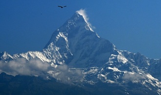 Vogelgrippe breitet sich in Nepal aus - Einziger Zoo des Landes geschlossen