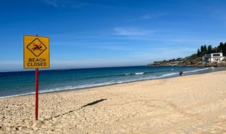 73 Hai-Sichtungen vor Sydney innerhalb von zwei Tagen