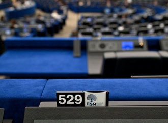 EU-Parlament stimmt über Verfahren gegen EU-Parteienfamilie der AfD ab