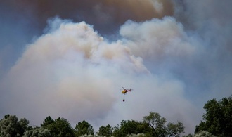 Zwölf Tote bei Waldbrand in Andalusien - Womöglich Stromleitung verantwortlich