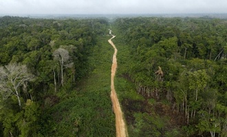 Brasilien: Abholzung von Amazonas-Regenwald auf neuem Tiefstand