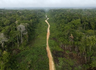 Brasilien: Abholzung von Amazonas-Regenwald auf neuem Tiefstand