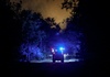 Feuer im Wald von Fontainebleau südlich von Paris - zwei Löschflugzeuge unterwegs
