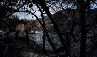 Bilanz von Waldbrand in Andalusien: Zwölf der 13 Todesopfer stammten aus dem Ausland