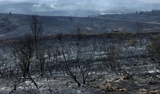 Spanien: Evakuierung mehrerer Gemeinden wegen Waldbrands nahe Madrid