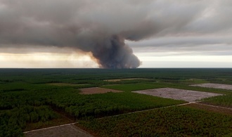 12.000 Menschen wegen Waldbrands in Touristenregion bei Bordeaux evakuiert