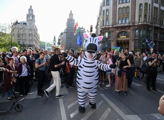 Ungarns Umweltminister kündigt Untersuchung zu Zebras von Orban-Vertrautem an