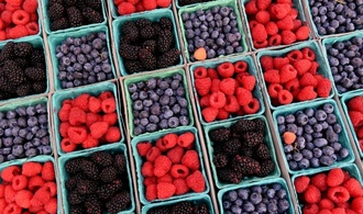 Noroviren in Tiefkühlbeeren: Verbraucherschützer fordern Warnhinweise