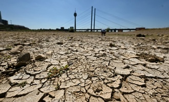 Niedrigwasser im Rhein: NRW-Ministerin warnt vor Folgen für die Wirtschaft