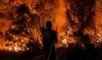 Türkei meldet landesweit 115 Waldbrände - 110 davon unter Kontrolle