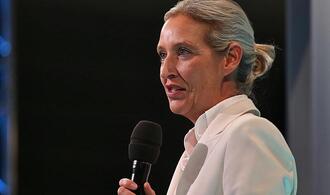 Politbarometer: AfD legt zu - Grüne und Linke verlieren