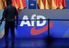 Ex-Verfassungsrichter warnt vor ''kleinem Parteiverbot'' der AfD