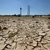 Rhein-Niedrigwasser errreicht in Köln neuen Tiefststand