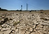 Rhein-Niedrigwasser errreicht in Köln neuen Tiefststand