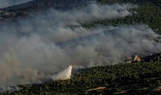 Mehr als 12.000 Hektar Land durch Waldbrände in Griechenland zerstört