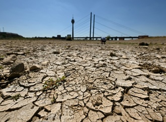 Niedrigwasser: Rheinpegel sinken an mehreren Orten auf Tiefststand