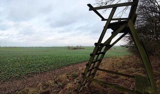Jagdverband fordert mehr Einsatz gegen illegale Waffen