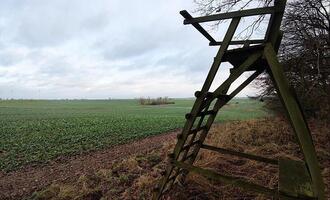 Jagdverband fordert mehr Einsatz gegen illegale Waffen