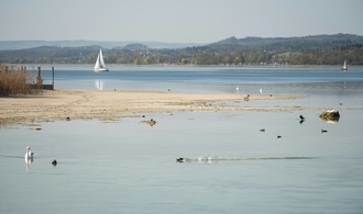 Notaufstieg aus rund 80 Metern: Zwei Tote bei Tauchunfall in Bodensee