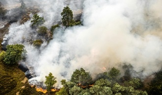 Waldbrand im Südosten der Niederlande nahe NRW ausgebrochen