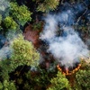 Feuerwehrleute und Hubschrauber bekämpfen Brand in Naturschutzgebiet in Niederlanden
