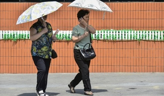 Hitzewelle in Nordkorea: Staatsmedien empfehlen Hundefleischsuppe und Ginsengbrühe
