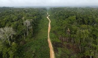 Abholzung im Amazonas auf niedrigstem Stand seit einem Jahrzehnt