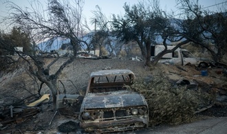 Erneut Waldbrand nahe Athen ausgebrochen - Dutzende Feuerwehrleute im Einsatz
