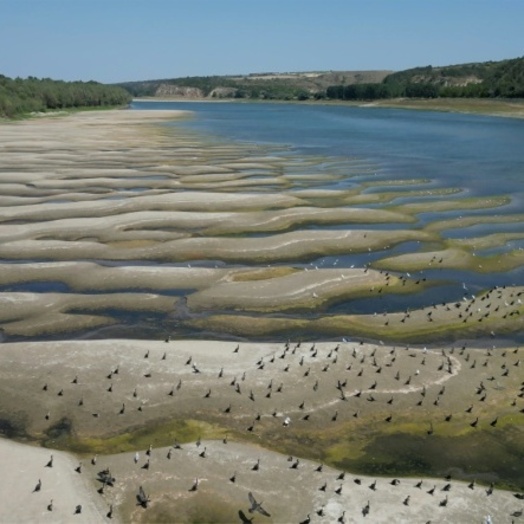 Donau-Niedrigwasser: Rumänien fährt einziges Akw des Landes herunter